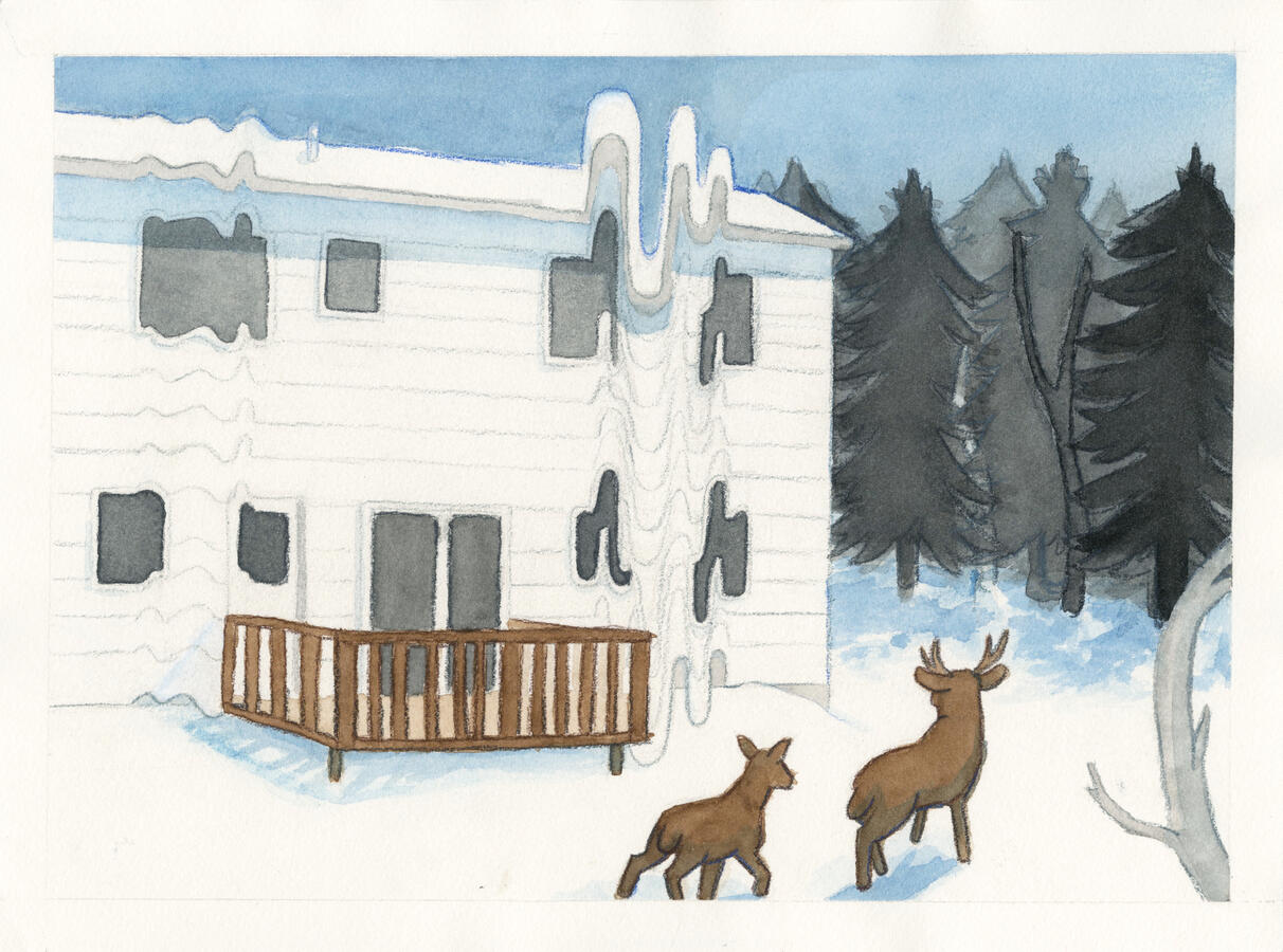 Deer